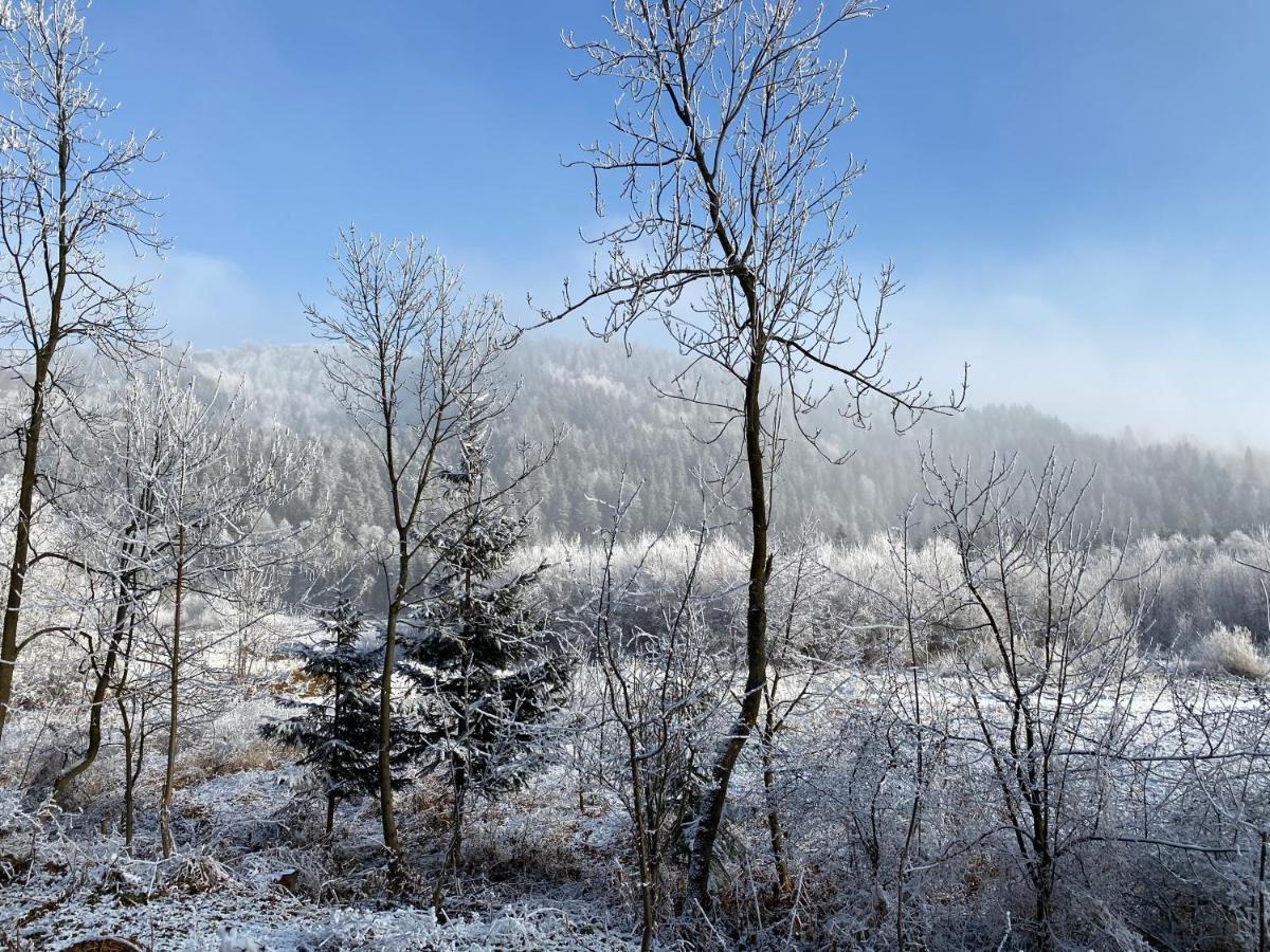 Pokoje Goscinne Pod Jaworem - Obok Pieknego Szlaku Wzdluz Rzeki Bialka, 1Km Do Stokow Kotelnica 외부 사진