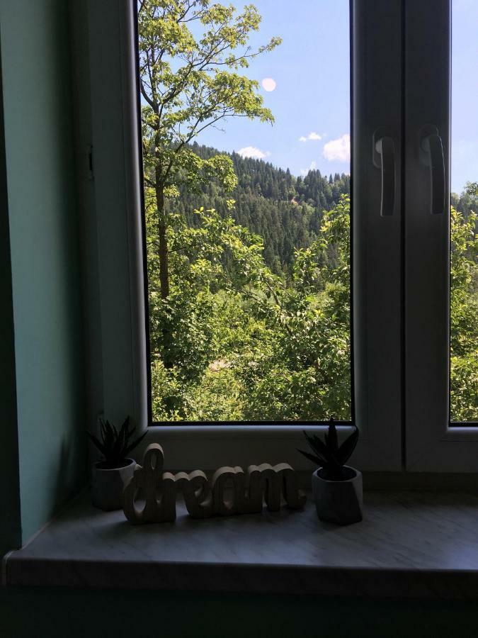 Pokoje Goscinne Pod Jaworem - Obok Pieknego Szlaku Wzdluz Rzeki Bialka, 1Km Do Stokow Kotelnica 외부 사진